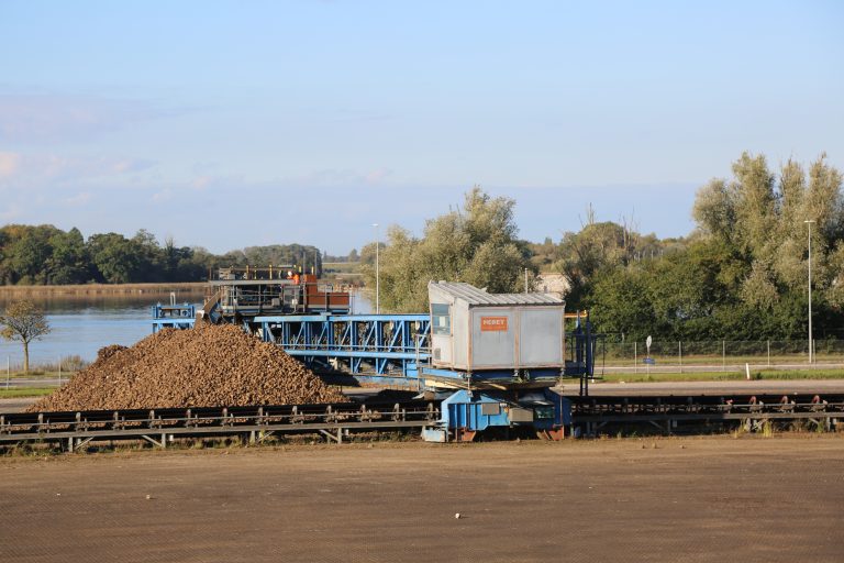 Fra roe til sukker – på kun to dage