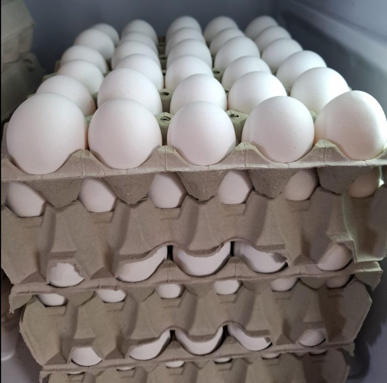 Her kommer en ægcellent historie