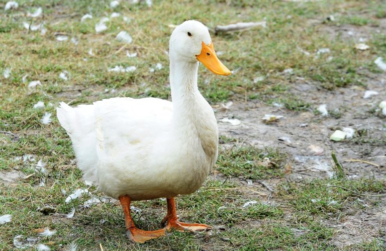 Juleanden: Gode ting tager tid